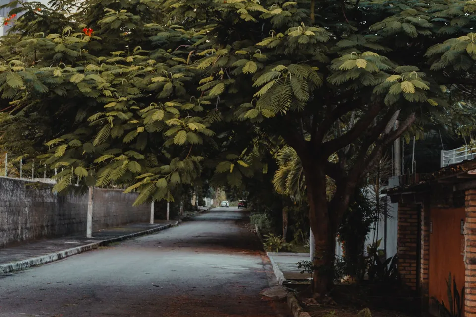 Rua residencial arborizada, com a vaga vazia na calçada