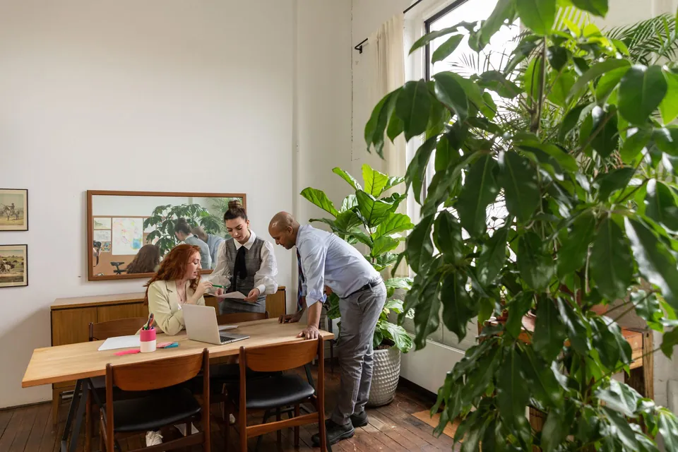 Reunião à mesa de um escritório, com plantas tropicais na janela
